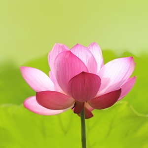 热血江湖贴吧